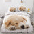 Dog Duvet Cover 200x200