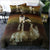 Husky Puppy Duvet Cover